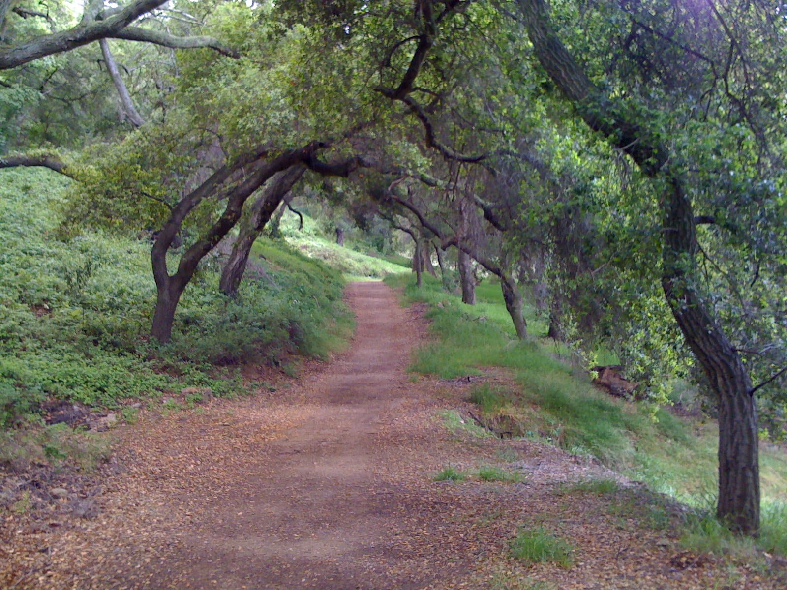 oak mountain state park bike trails